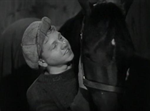 Mickey Rooney in Stablemates